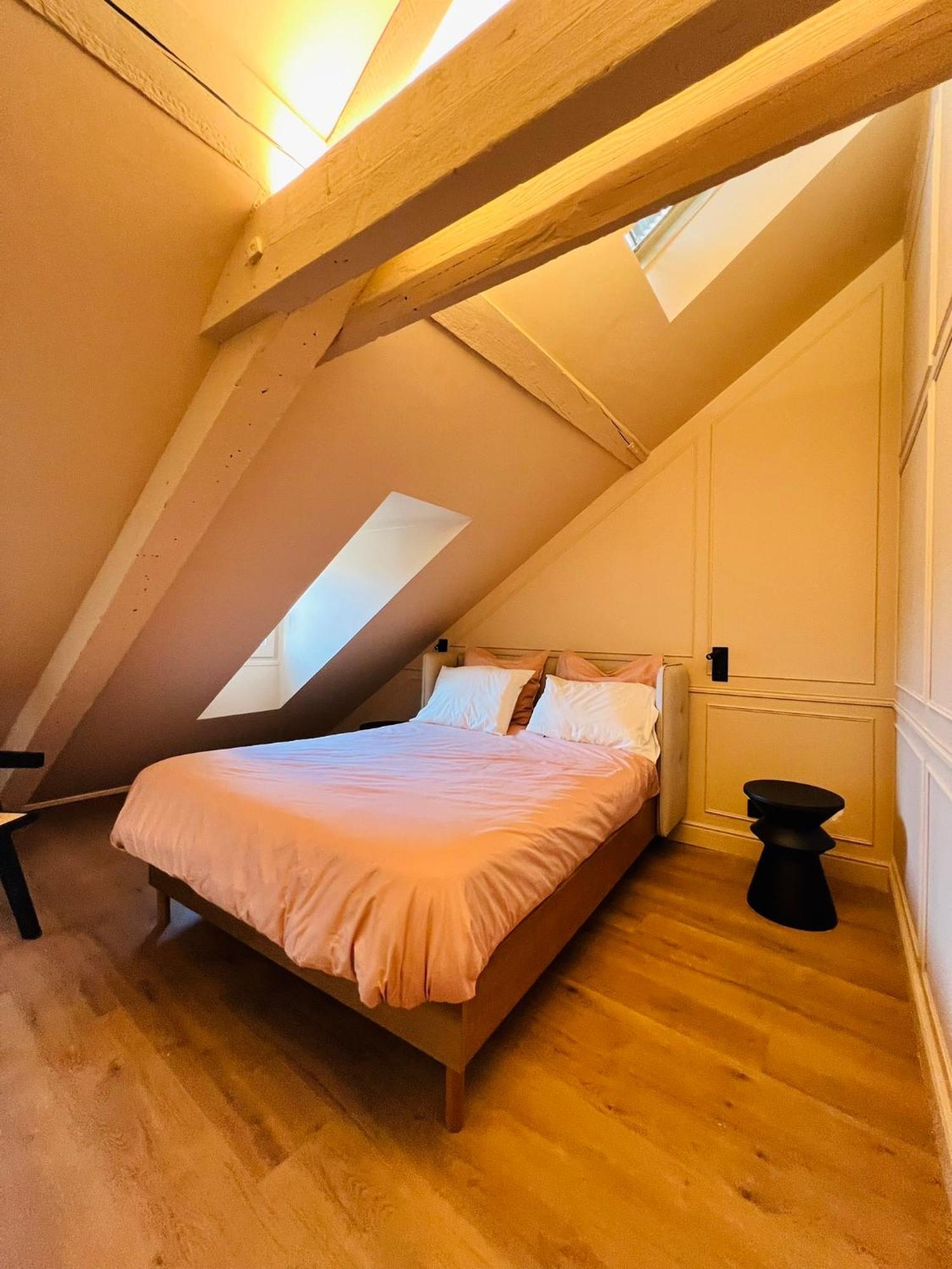 Chez Sandrine, Mon Appartement Elegant + Parking Στρασβούργο Εξωτερικό φωτογραφία