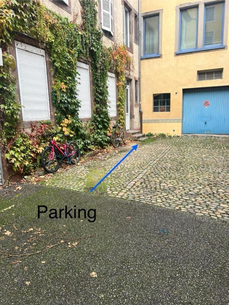 Chez Sandrine, Mon Appartement Elegant + Parking Στρασβούργο Εξωτερικό φωτογραφία